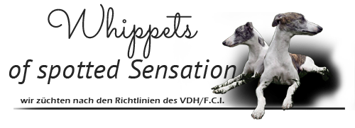 logo-spotted-1 spotted-sensation.de